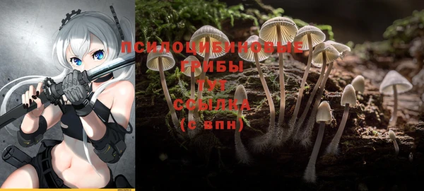 сатива Балабаново