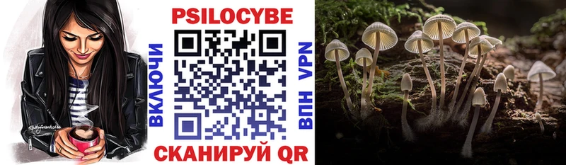 Галлюциногенные грибы Psilocybine cubensis  хочу   ссылка на мегу онион  Верхняя Пышма 